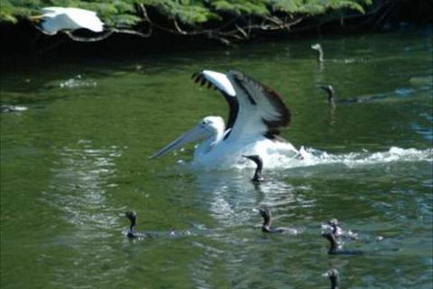 Alexander Lakeside Bed & Breakfast - Accommodation Noosa 5