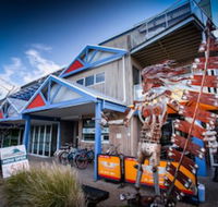 The Island Accommodation - Hostel - Accommodation Noosa
