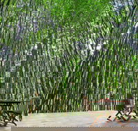 Azabu Boutique Accommodation Byron Bay - Accommodation Noosa