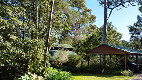 Bellbird Cottage B & B - Accommodation Noosa 5