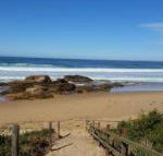 Bellbird Cottage B  B - Accommodation Noosa