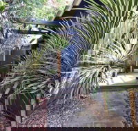 Lornebeach Apartments - Accommodation Noosa