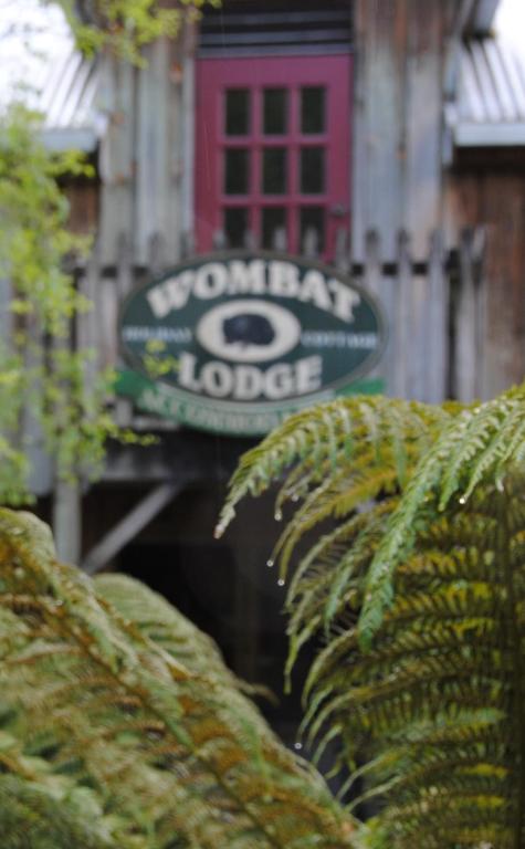 The Wombat Cottage - Accommodation Noosa 1