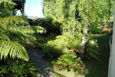 The Wombat Cottage - Accommodation Noosa 4