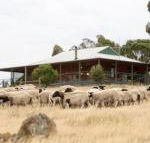 Gilgraves Vineyard Farmstay - Accommodation Noosa