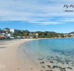 Matador Flat Pet Friendly Accommodation - Accommodation Noosa