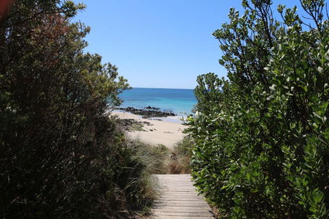 Sisters Beach Paradise - Accommodation Noosa 2