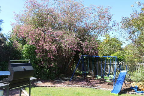 Sisters Beach Paradise - Accommodation Noosa 3