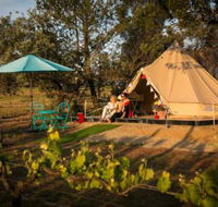 Grapevine Glamping - Accommodation Noosa