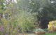 Amalie Cottage Waikerie Unit 1 - thumb 5