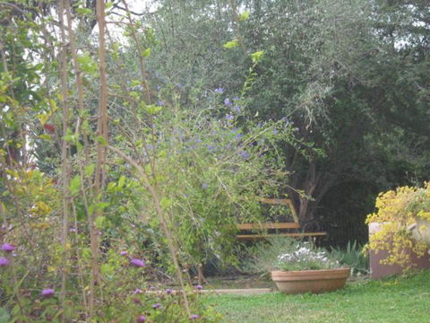Amalie Cottage Waikerie Unit 1 - Accommodation Noosa 5