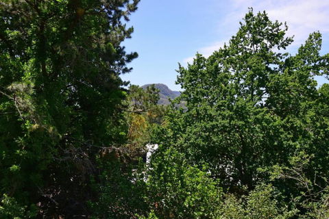Cloudsong Chalet 4 Close To The Village Centre! - Accommodation Noosa 3