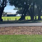 Yaringa Cottage...by The Sea - Accommodation Noosa 0