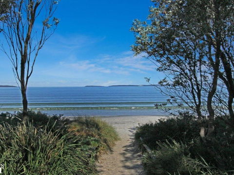 Callala Sun Modern & Functional - Accommodation Noosa 3