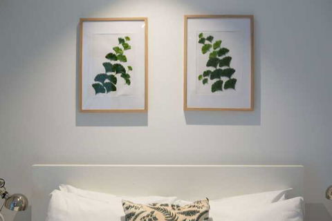 Comfort Luxury 1BR Apart@southerncross/flagstaff - Accommodation Noosa 3