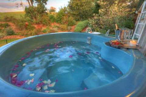 Maleny Homestead & Cottage - Accommodation Noosa 4