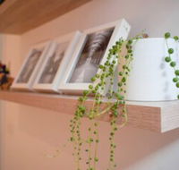 Trendy Modern 2BD Apartment Close to Beach  City - Accommodation Noosa