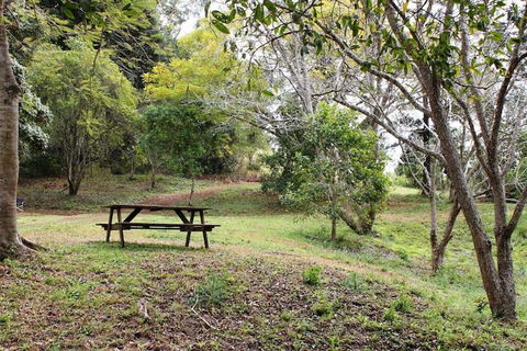 Stonehouse Farm Glamping - Accommodation Noosa 1