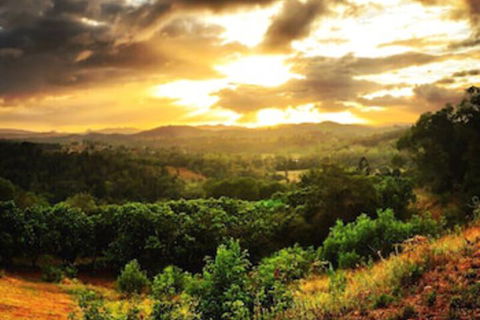 Stonehouse Farm Glamping - Accommodation Noosa 0