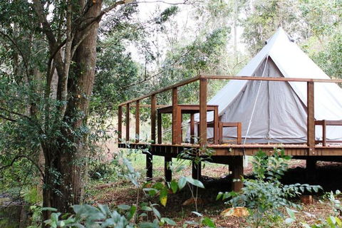 Stonehouse Farm Glamping - Accommodation Noosa 5