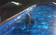 Stonehouse Farm Glamping - thumb 4