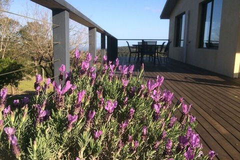 Maleny Mountain Retreat - Accommodation Noosa 2
