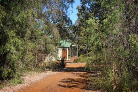 Bush N Waves - Accommodation Noosa 2