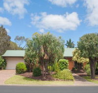Bottlebrush - Accommodation Noosa