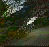 Brisbane North BB and Winery - Accommodation Noosa