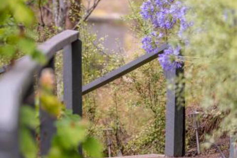 In The Valley - Accommodation Noosa 5