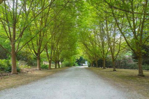 In The Valley - Accommodation Noosa 6