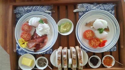 Beezneez B & B - Accommodation Noosa 1