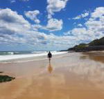 Arena Luxury Beachfront Apartment - Accommodation Noosa