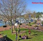 13 Carindale 19 Dowling Street large ground floor unit with pool  tennis court - Accommodation Noosa