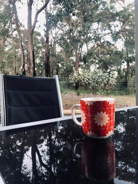 On The Edge Of The Forest - Accommodation Noosa 6