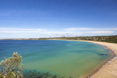 1 / 31 Ocean Street A Relaxing Coastal Retreat - Accommodation Noosa 1
