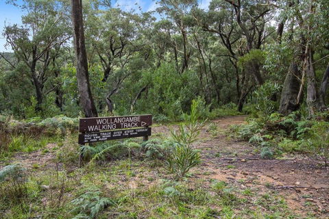 THE TEACHERS COTTAGE - Accommodation Noosa 5