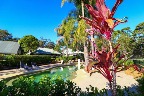 Corella Studio Apartment In Raffetys Resort - Accommodation Noosa 3