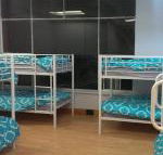 Wombat Backpackers - Accommodation Noosa