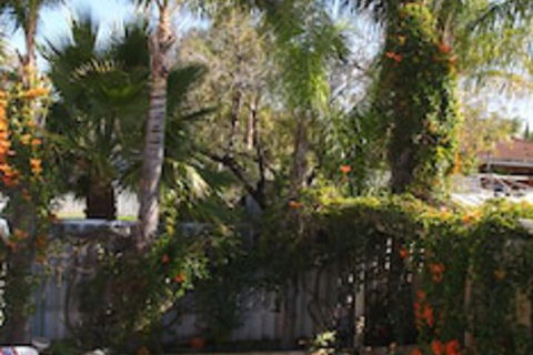 Astoria Retreat B&B - Accommodation Noosa 6