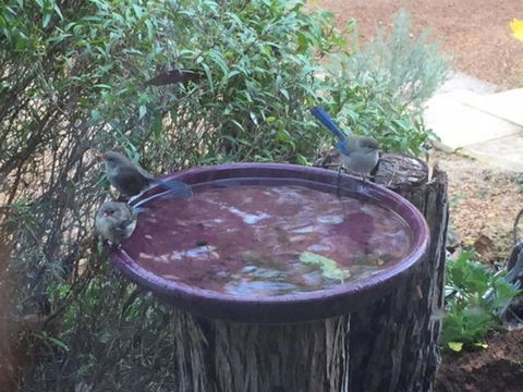 Dunsborough Ridge Retreat - Accommodation Noosa 6