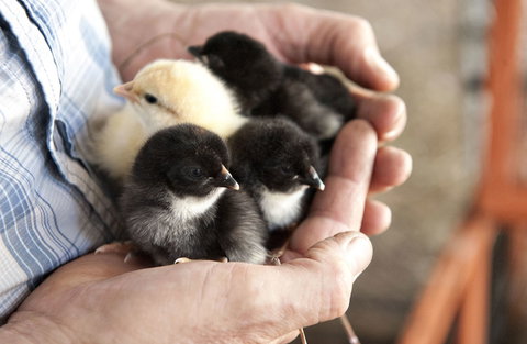 Margaret River Hideaway - Accommodation Noosa 0