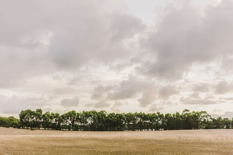 Yallingup Lodge Spa Retreat - Accommodation Noosa 0