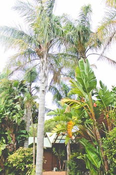 Yallingup Lodge Spa Retreat - Accommodation Noosa 1