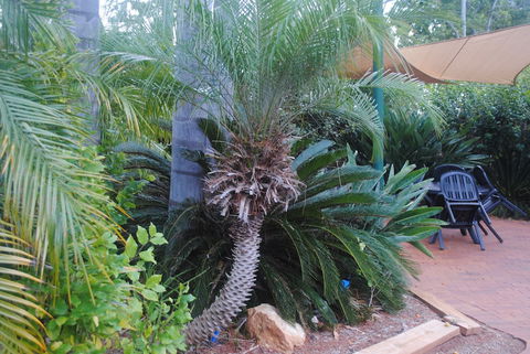 Kingaroy Holiday Park - Accommodation Noosa 1