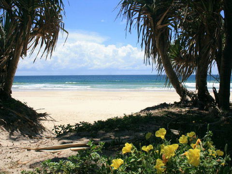 Ozone Shores - Accommodation Noosa 1