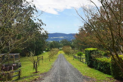 Maple Cottage - Accommodation Noosa 6
