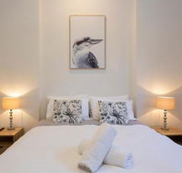 Dingo at White Gum Lodge - Accommodation Noosa