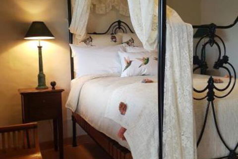 Blue Fattoria - Accommodation Noosa 1