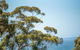 Sea Salt NARRAWALLEE - thumb 6